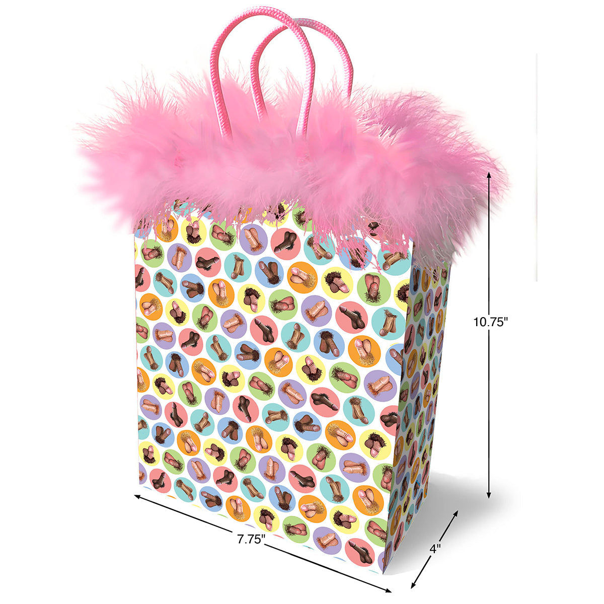 Dirty Penis Gift Bag-1
