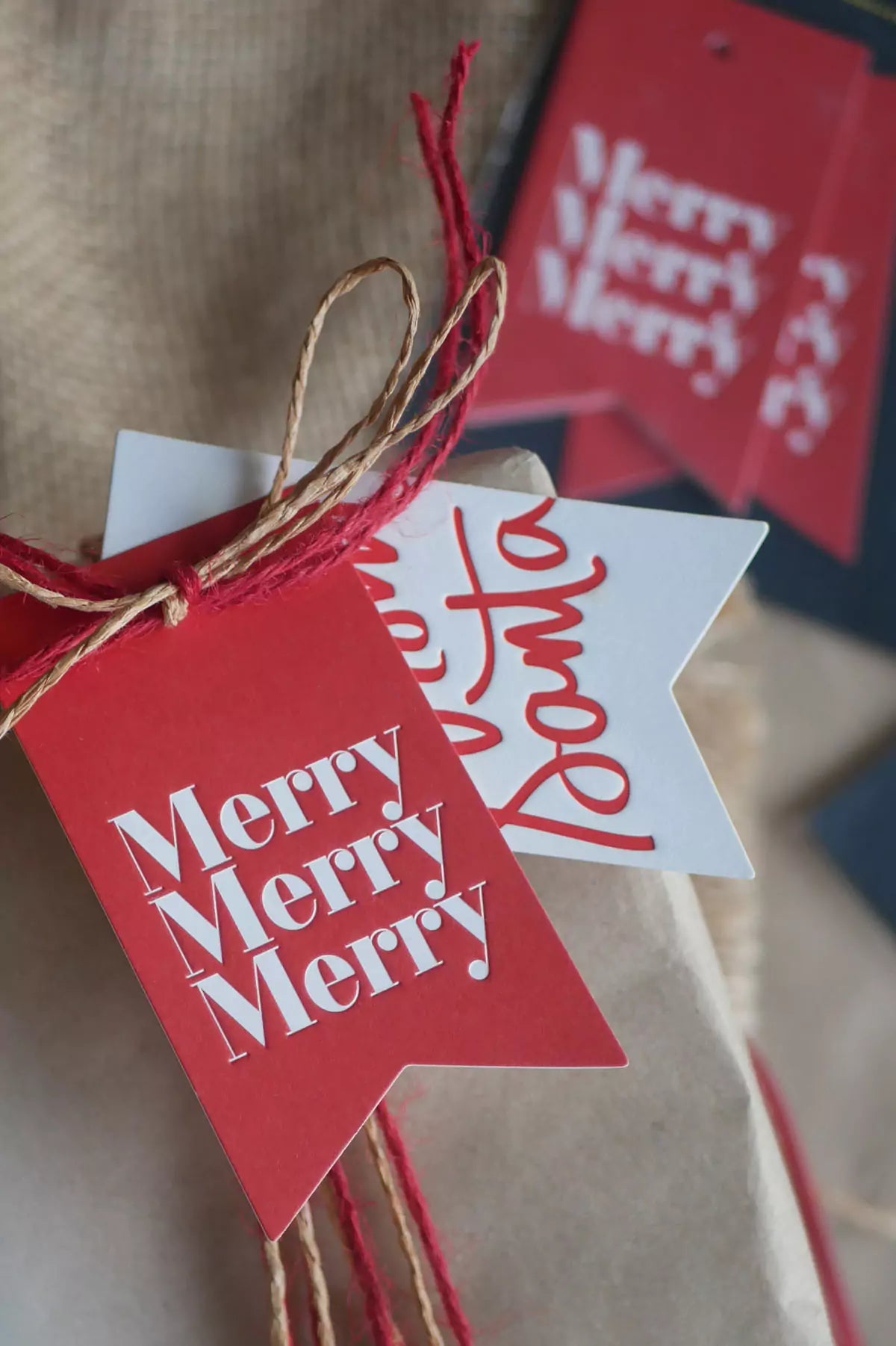 From Santa Tag-1